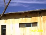 Termite damage causes the roof to sag. Eventually it will fall in.